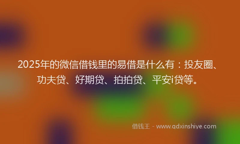 2025年的微信借钱里的易借是什么有：投友圈、功夫贷、好期贷、拍拍贷、平安i贷等。