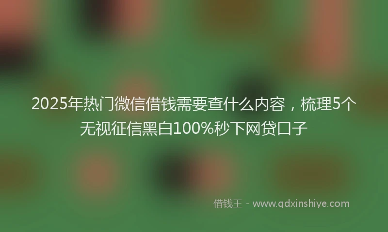 2025年热门微信借钱需要查什么内容，梳理5个无视征信黑白100%秒下网贷口子