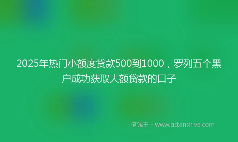 2025年热门小额度贷款500到1000，罗列五个黑户成功获取大额贷款的口子