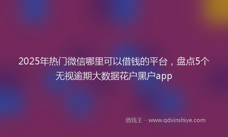 2025年热门微信哪里可以借钱的平台，盘点5个无视逾期大数据花户黑户app