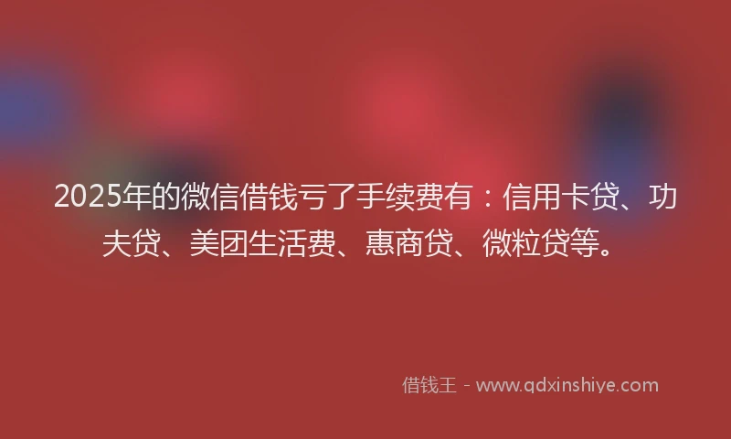 2025年的微信借钱亏了手续费有：信用卡贷、功夫贷、美团生活费、惠商贷、微粒贷等。