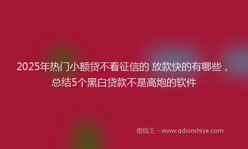 2025年热门小额贷不看征信的 放款快的有哪些，总结5个黑白贷款不是高炮的软件