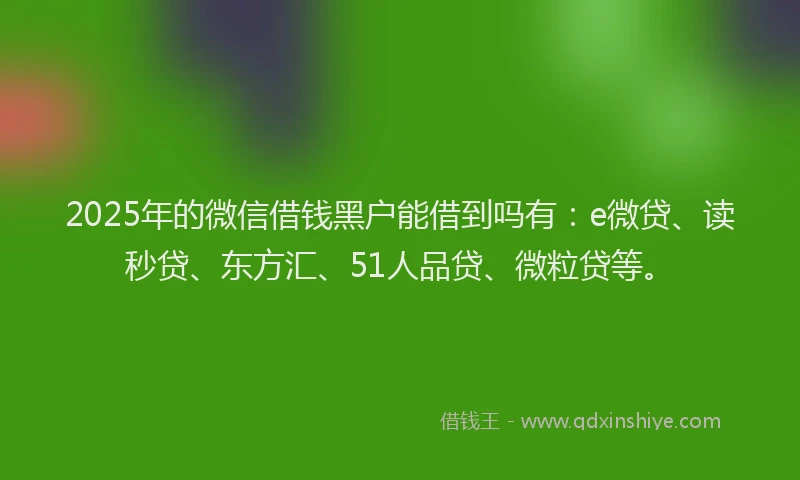 2025年的微信借钱黑户能借到吗有：e微贷、读秒贷、东方汇、51人品贷、微粒贷等。