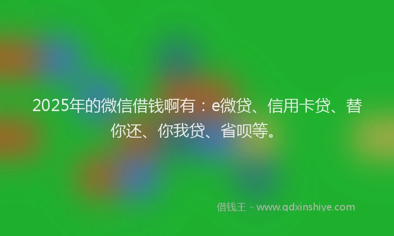 2025年的微信借钱啊有：e微贷、信用卡贷、替你还、你我贷、省呗等。
