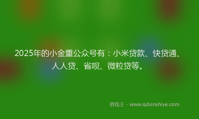 2025年的小金重公众号有：小米贷款、快贷通、人人贷、省呗、微粒贷等。
