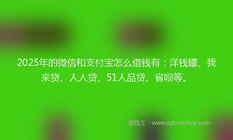 2025年的微信和支付宝怎么借钱有：洋钱罐、我来贷、人人贷、51人品贷、省呗等。