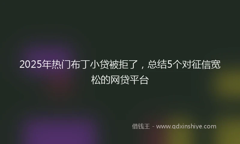 2025年热门布丁小贷被拒了，总结5个对征信宽松的网贷平台