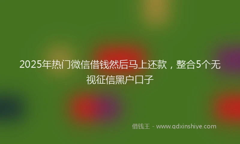 2025年热门微信借钱然后马上还款，整合5个无视征信黑户口子