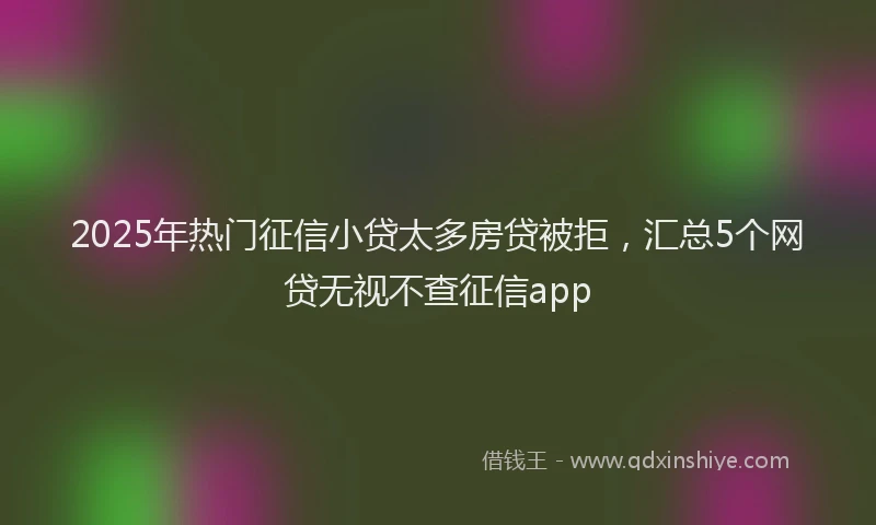 2025年热门征信小贷太多房贷被拒，汇总5个网贷无视不查征信app