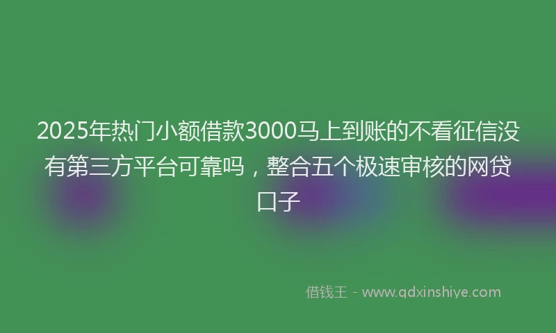 2025年热门小额借款3000马上到账的不看征信没有第三方平台可靠吗，整合五个极速审核的网贷口子