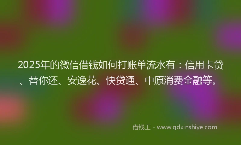 2025年的微信借钱如何打账单流水有：信用卡贷、替你还、安逸花、快贷通、中原消费金融等。