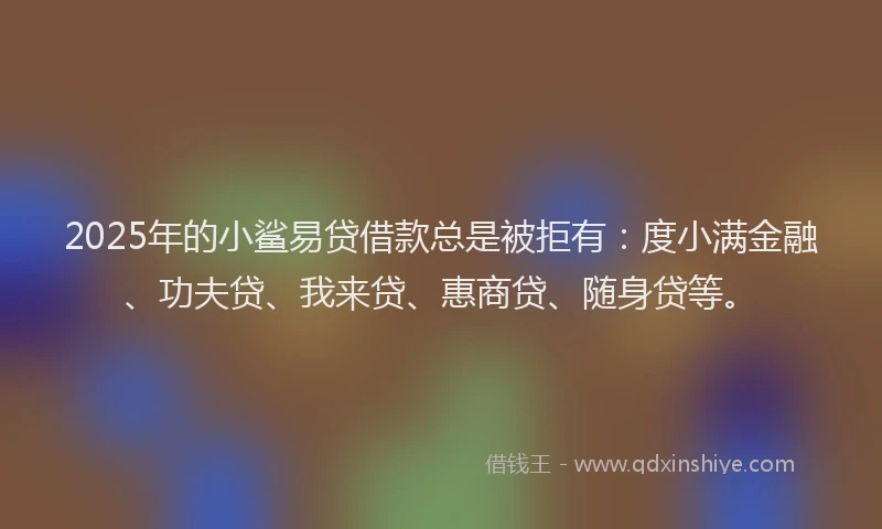 2025年的小鲨易贷借款总是被拒有：度小满金融、功夫贷、我来贷、惠商贷、随身贷等。