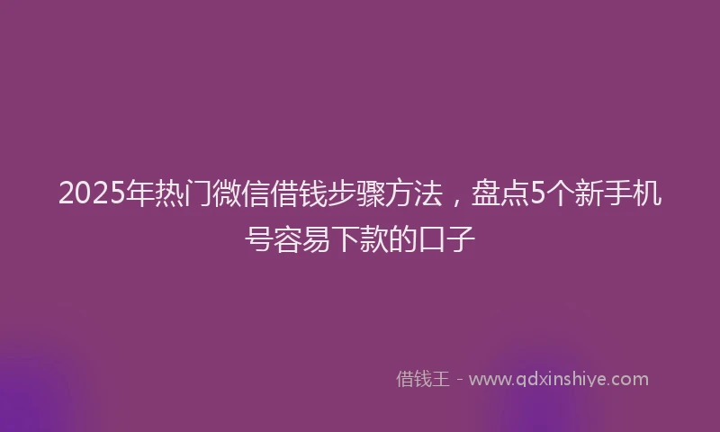 2025年热门微信借钱步骤方法，盘点5个新手机号容易下款的口子