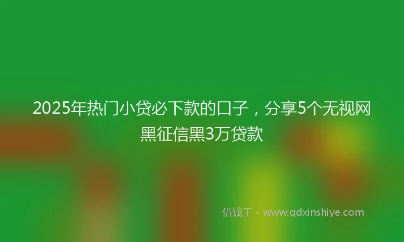 2025年热门小贷必下款的口子，分享5个无视网黑征信黑3万贷款