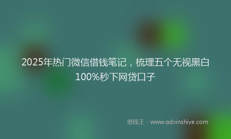2025年热门微信借钱笔记，梳理五个无视黑白100%秒下网贷口子