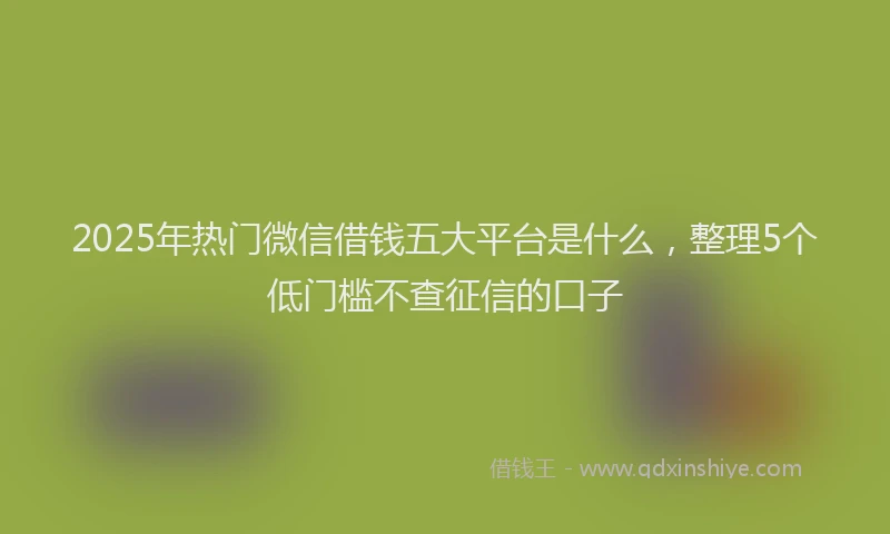 2025年热门微信借钱五大平台是什么，整理5个低门槛不查征信的口子