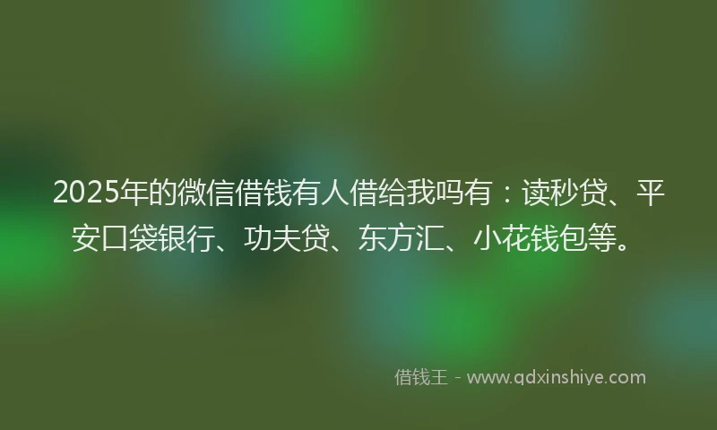 2025年的微信借钱有人借给我吗有：读秒贷、平安口袋银行、功夫贷、东方汇、小花钱包等。