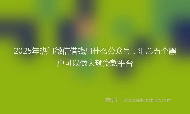 2025年热门微信借钱用什么公众号，汇总五个黑户可以做大额贷款平台