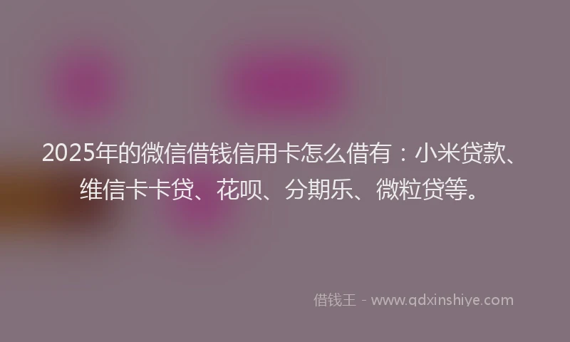 2025年的微信借钱信用卡怎么借有：小米贷款、维信卡卡贷、花呗、分期乐、微粒贷等。
