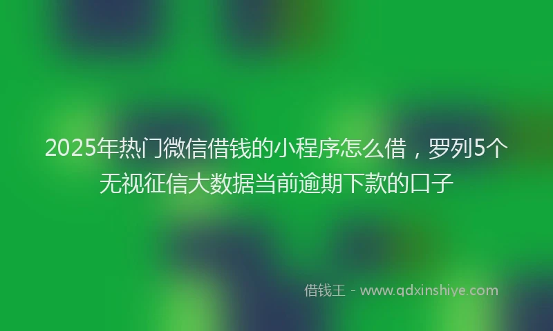 2025年热门微信借钱的小程序怎么借，罗列5个无视征信大数据当前逾期下款的口子