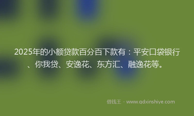 2025年的小额贷款百分百下款有：平安口袋银行、你我贷、安逸花、东方汇、融逸花等。