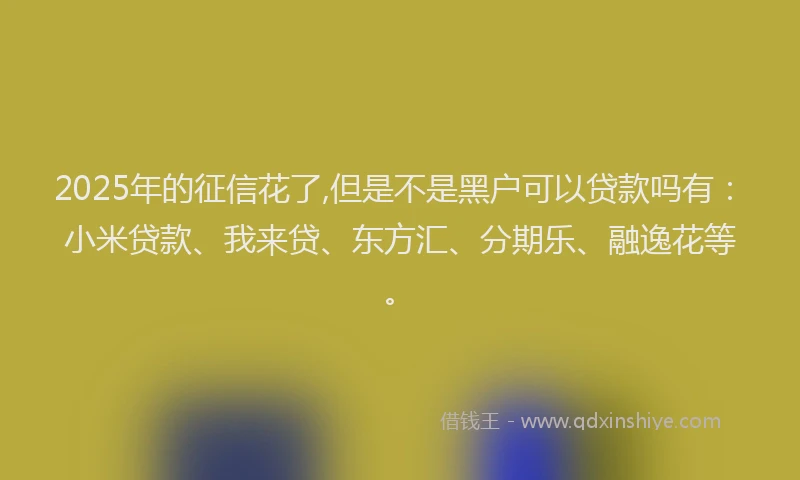 2025年的征信花了,但是不是黑户可以贷款吗有：小米贷款、我来贷、东方汇、分期乐、融逸花等。