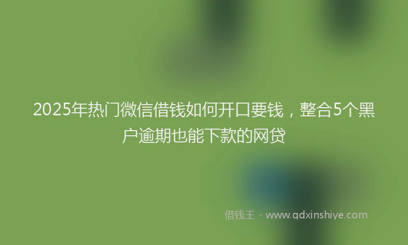 2025年热门微信借钱如何开口要钱，整合5个黑户逾期也能下款的网贷