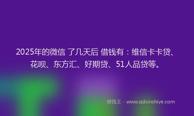 2025年的微信 了几天后 借钱有：维信卡卡贷、花呗、东方汇、好期贷、51人品贷等。