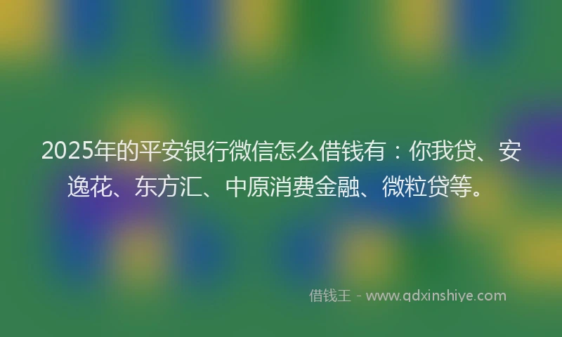 2025年的平安银行微信怎么借钱有：你我贷、安逸花、东方汇、中原消费金融、微粒贷等。
