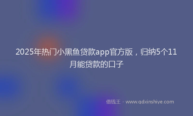2025年热门小黑鱼贷款app官方版，归纳5个11月能贷款的口子