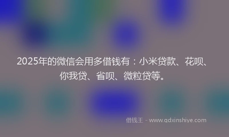 2025年的微信会用多借钱有：小米贷款、花呗、你我贷、省呗、微粒贷等。