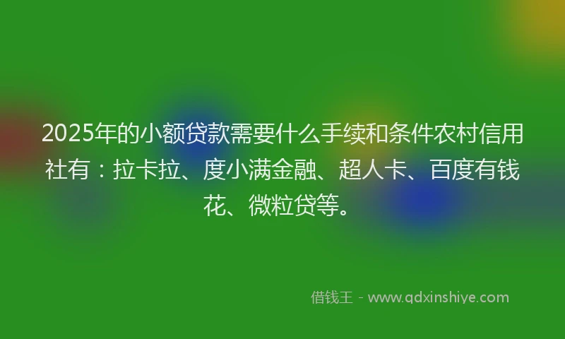 2025年的小额贷款需要什么手续和条件农村信用社有：拉卡拉、度小满金融、超人卡、百度有钱花、微粒贷等。