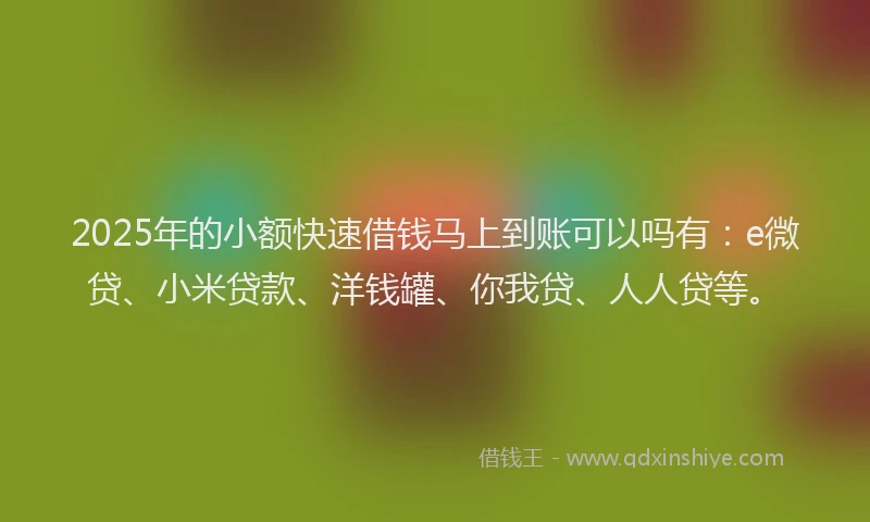 2025年的小额快速借钱马上到账可以吗有：e微贷、小米贷款、洋钱罐、你我贷、人人贷等。