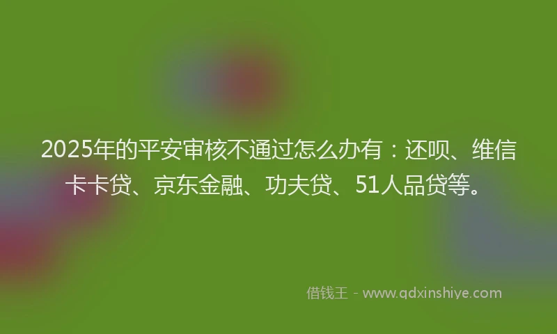 2025年的平安审核不通过怎么办有：还呗、维信卡卡贷、京东金融、功夫贷、51人品贷等。