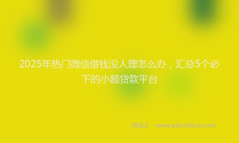 2025年热门微信借钱没人理怎么办，汇总5个必下的小额贷款平台