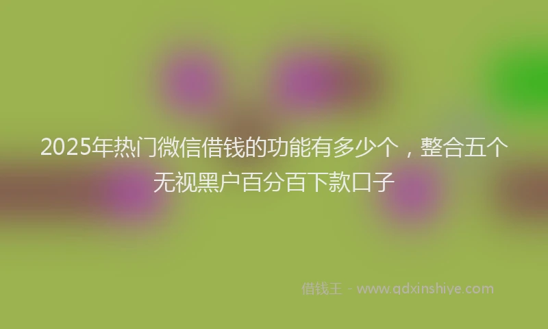 2025年热门微信借钱的功能有多少个，整合五个无视黑户百分百下款口子