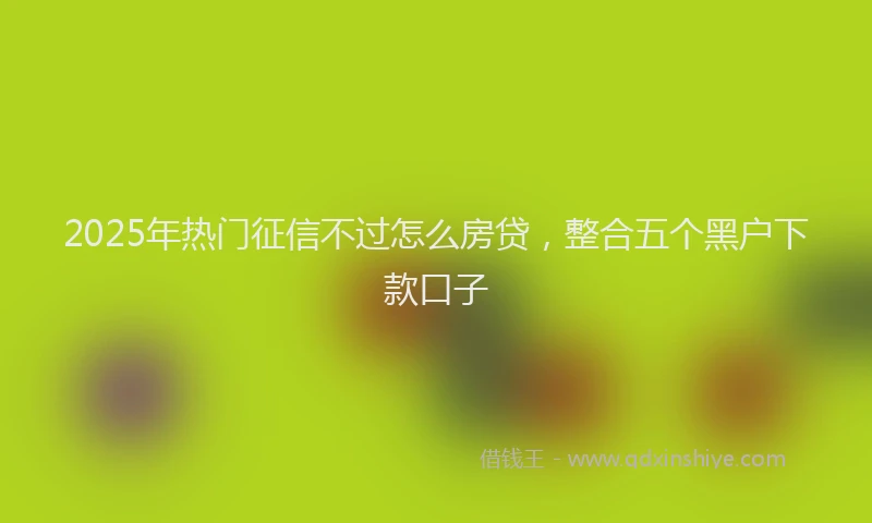 2025年热门征信不过怎么房贷，整合五个黑户下款口子