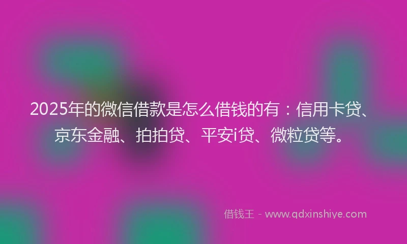 2025年的微信借款是怎么借钱的有：信用卡贷、京东金融、拍拍贷、平安i贷、微粒贷等。