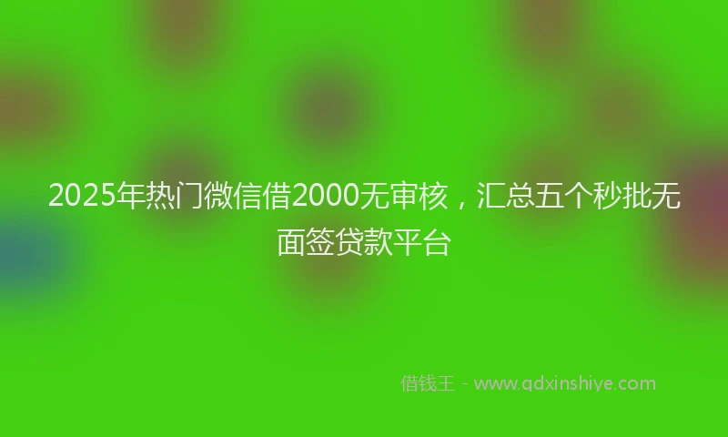 2025年热门微信借2000无审核，汇总五个秒批无面签贷款平台