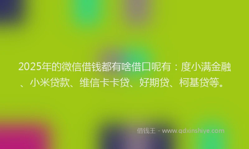 2025年的微信借钱都有啥借口呢有：度小满金融、小米贷款、维信卡卡贷、好期贷、柯基贷等。