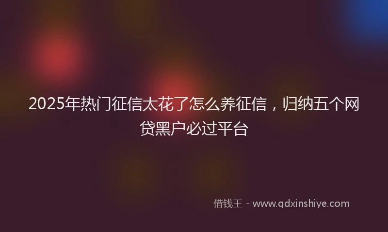 2025年热门征信太花了怎么养征信，归纳五个网贷黑户必过平台