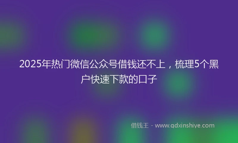 2025年热门微信公众号借钱还不上，梳理5个黑户快速下款的口子