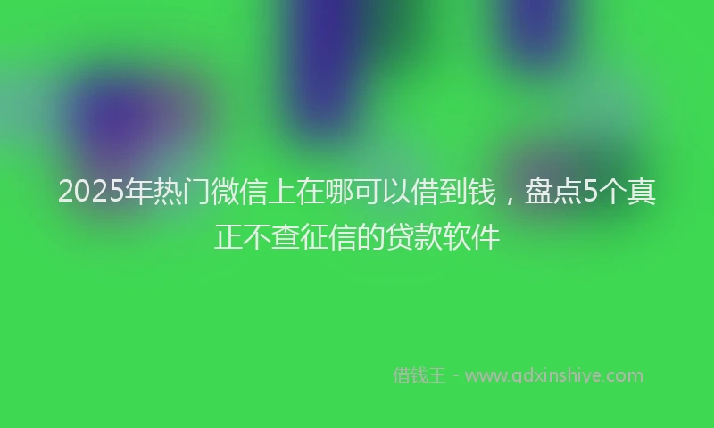 2025年热门微信上在哪可以借到钱，盘点5个真正不查征信的贷款软件