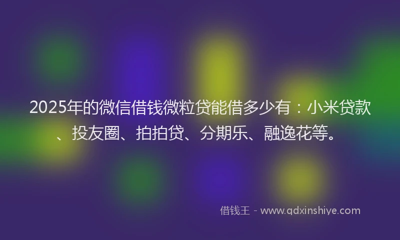 2025年的微信借钱微粒贷能借多少有：小米贷款、投友圈、拍拍贷、分期乐、融逸花等。