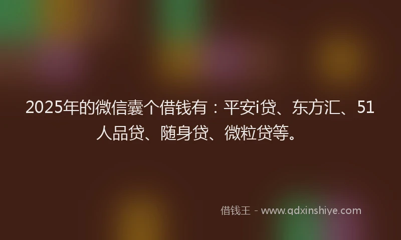 2025年的微信囊个借钱有：平安i贷、东方汇、51人品贷、随身贷、微粒贷等。