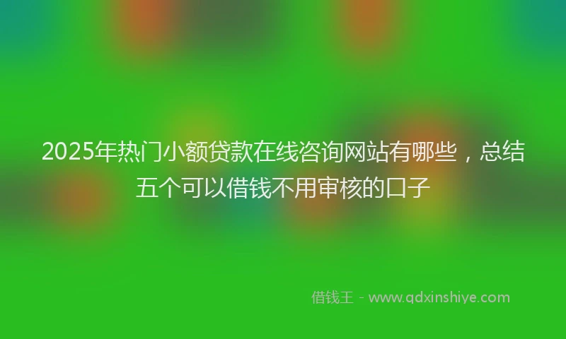 2025年热门小额贷款在线咨询网站有哪些，总结五个可以借钱不用审核的口子