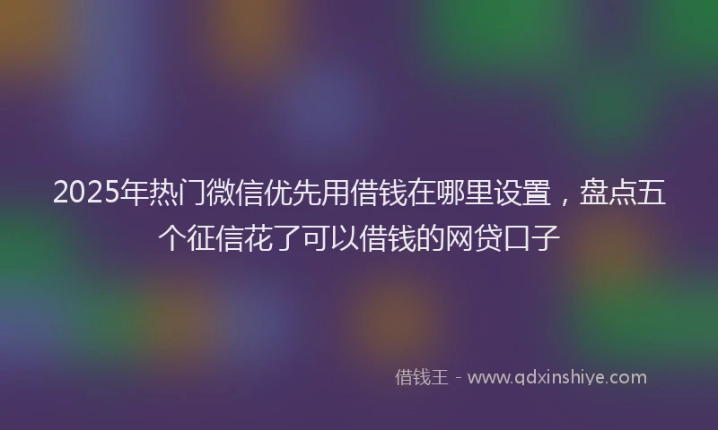 2025年热门微信优先用借钱在哪里设置，盘点五个征信花了可以借钱的网贷口子