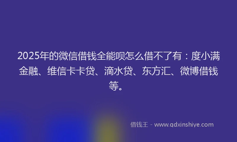2025年的微信借钱全能呗怎么借不了有：度小满金融、维信卡卡贷、滴水贷、东方汇、微博借钱等。