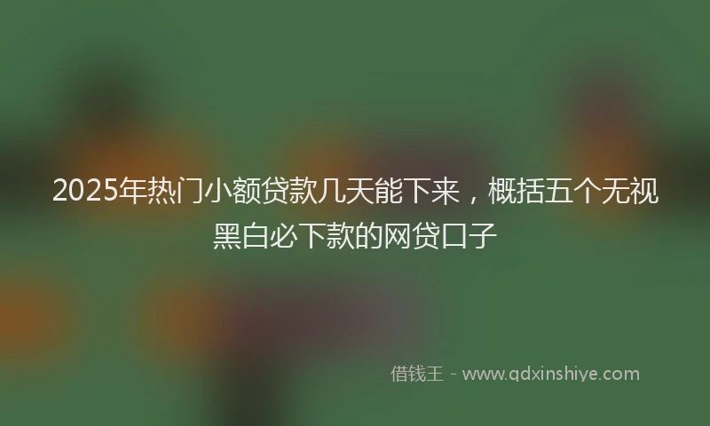 2025年热门小额贷款几天能下来，概括五个无视黑白必下款的网贷口子