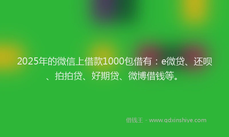 2025年的微信上借款1000包借有：e微贷、还呗、拍拍贷、好期贷、微博借钱等。
